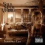 SOUL MADE VISIBLE