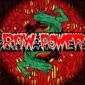 RAW POWER RAW POWER