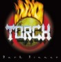 TORCH TORCH