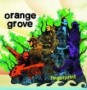 ORANGE GROVE ORANGE GROVE