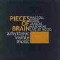 PIECES OF BRAIN