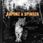 KAPONZ & SPINOZA KAPONZ & SPINOZA