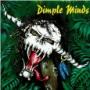 DIMPLE MINDS