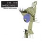 JOY FORMIDABLE
