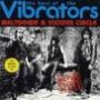 THE VIBRATORS