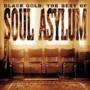 SOUL ASYLUM