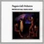 PENGUIN CAFE ORCHESTRA PENGUIN CAFE ORCHESTRA