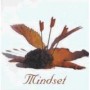 MINDSET MINDSET