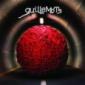 GUILLEMOTS