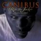 CANIBUS