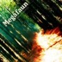 MEGAFAUN