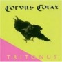 CORVUS CORAX