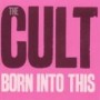 CULT
