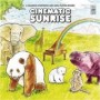 CINEMATIC SUNRISE