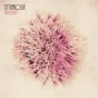EMAROSA