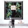MR.BIG MR.BIG