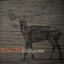 HAUNT