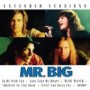 MR. BIG MR. BIG