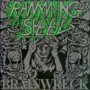 RAMMING SPEED RAMMING SPEED