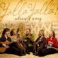 SULTANS OF STRING