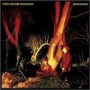 ECHO & THE BUNNYMEN