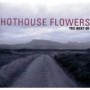 HOTHOUSE FLOWERS