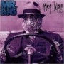 MR.BIG MR.BIG