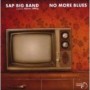 SAP BIG BAND SAP BIG BAND