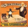 MARTIN STEVE