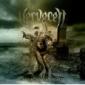 NERVECELL NERVECELL