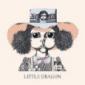 LITTLE DRAGON LITTLE DRAGON