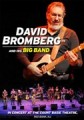 BROMBERG DAVID