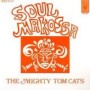 MIGHTY TOM CATS
