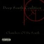 DEEP SOUTH COALITION