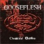 GOOSEFLESH