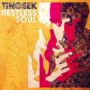 TINGSEK