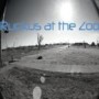 RUCKUS AT THE ZOO