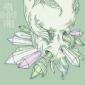 HOLOPAW