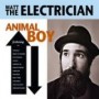 MATT THE ELECTRICIAN