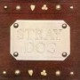 STRAY DOG