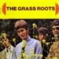 GRASS ROOTS
