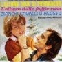 MICALIZZI FRANCO MICALIZZI FRANCO