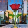ROSE ROYCE