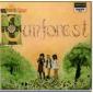 SUN FOREST