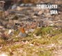 TRANSKAAKKO