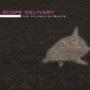 SCOPE DELIVERY