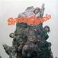 SYNANTHESIA SYNANTHESIA