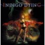 INDIGO DYING INDIGO DYING