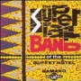 SUPER RAIL BAND OF THE BU