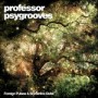 PROFESSOR PSYGROOVES PROFESSOR PSYGROOVES